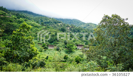 Mountain scenery in Kingdoom of Bhutan Mountain scenery in Kingdoom of Bhutan 36105827