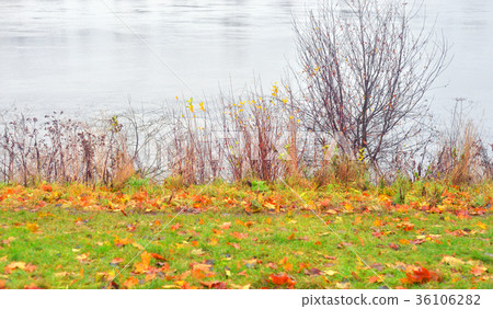Coast of river at autumn. Coast of river at autumn. 36106282
