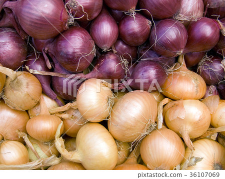 red and white onions horizontal 36107069