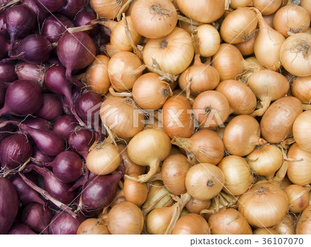 red and white onions 36107070