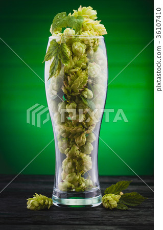 hops in a beer glass hops in a beer glass 36107410