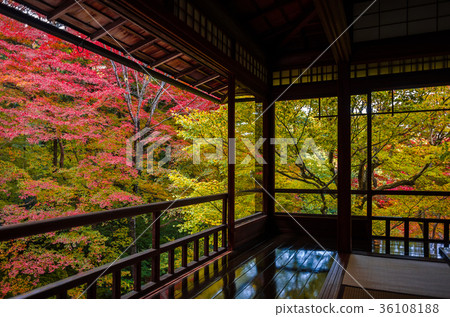 Authority Rurikoin 36108188