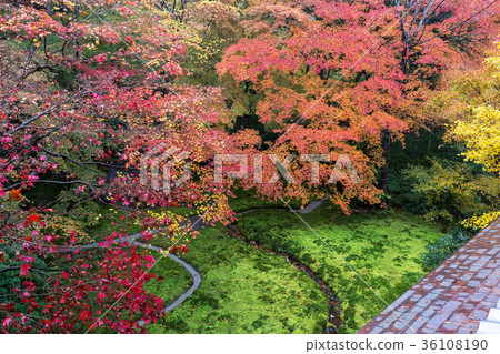 Authority Rurikoin Authority Rurikoin 36108190