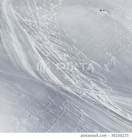 Snowy off-piste slope with traces of skis Snowy off-piste slope with traces of skis 36108235