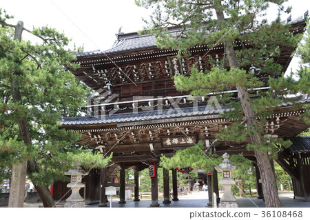 千代寺 千代寺 36108468