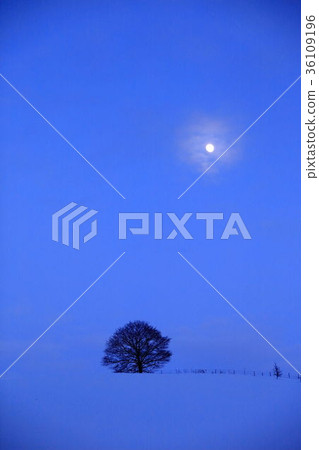 Moon on the hill Moon on the hill 36109196