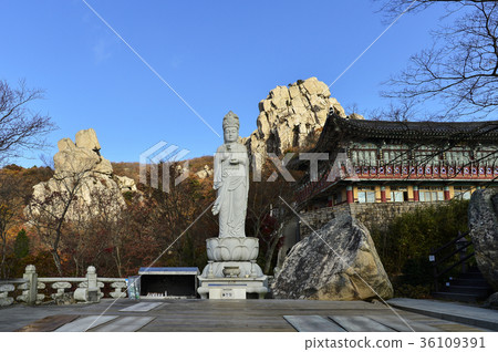 海邊觀音菩薩,Borimam,錦山,Namhae,Gyeongnam 海邊觀音菩薩,Borimam,錦山,Namhae,Gyeongnam 36109391