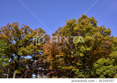 Changwon, Seosan-si, Chungnam Changwon, Seosan-si, Chungnam 36109507