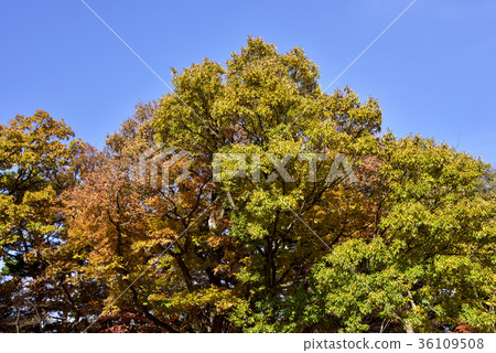 Changwon, Seosan-si, Chungnam Changwon, Seosan-si, Chungnam 36109508