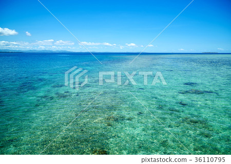 Tabu Island, Fiji Tabu Island, Fiji 36110795