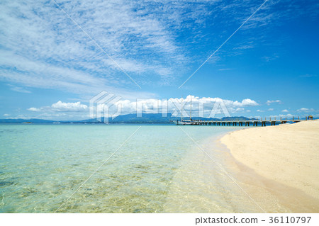 斐濟塔布島 斐濟塔布島 36110797
