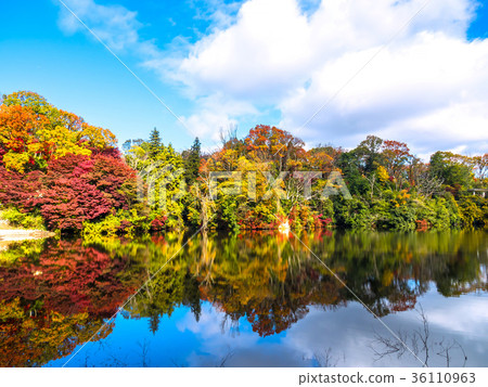 Nukaike公園的秋葉 Nukaike公園的秋葉 36110963