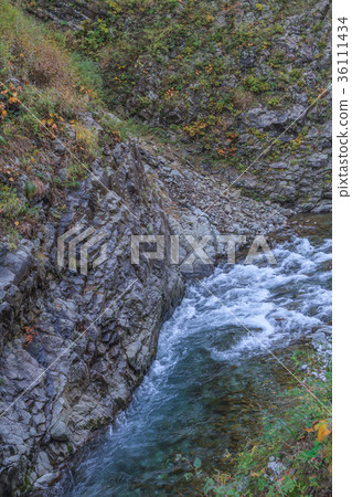 Autumn scenery of Kiyotsukyo 36111434
