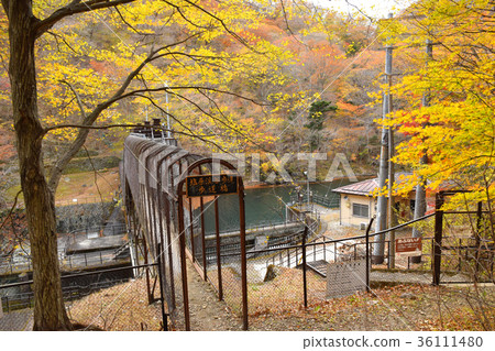 Shiobara谷邊路人行橋 36111480