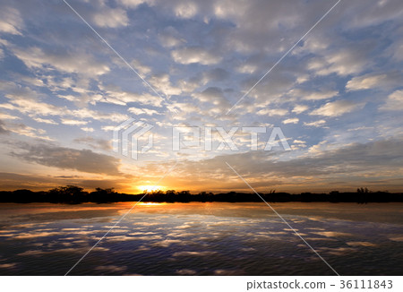 Dramatic silhouette vivid sunset sunrise. 36111843