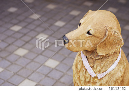 狗的裝飾 36112462