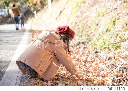 Girl picking fallen leaves Girl picking fallen leaves 36113133