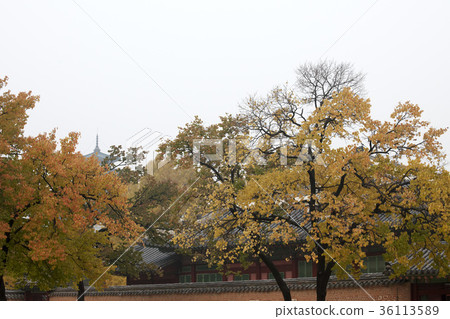首爾鐘路區景福宮 36113589