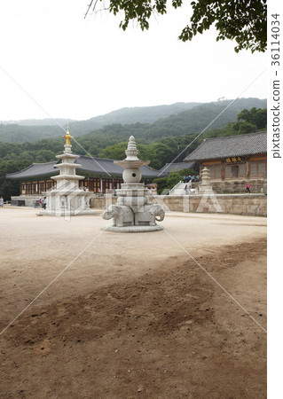 Suedeuk, Chungbuk, Chungnam 36114034