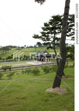 Chungjang,Nonsan,Chungnam Chungjang,Nonsan,Chungnam 36114099