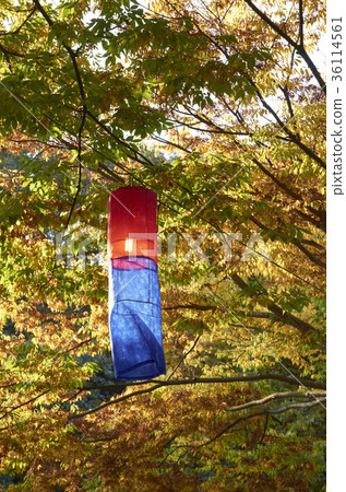 京畿道龍仁市龍仁民俗村政府大樓 36114561