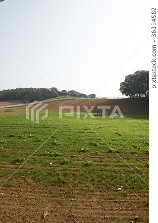 Raw stallion ranch, Goyang-si, Gyeonggi-do Raw stallion ranch, Goyang-si, Gyeonggi-do 36114582