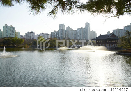 Central Park, Bundang, Seongnam-si, Gyeonggi-do Central Park, Bundang, Seongnam-si, Gyeonggi-do 36114967
