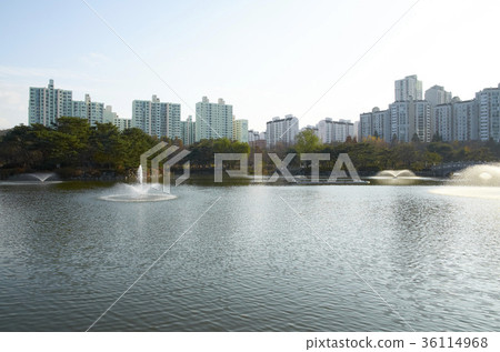 Central Park, Bundang, Seongnam-si, Gyeonggi-do Central Park, Bundang, Seongnam-si, Gyeonggi-do 36114968