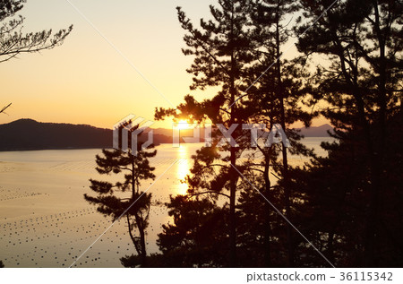 Tongyeong-si, Gyeongnam Tongyeong-si, Gyeongnam 36115342