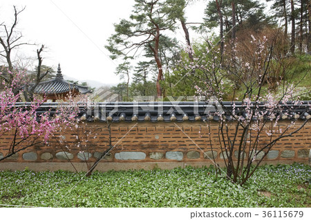 京畿道龍仁市Hoam美術館 36115679