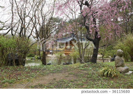 京畿道龍仁市Hoam美術館 京畿道龍仁市Hoam美術館 36115680