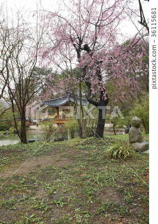 京畿道龍仁市Hoam美術館 京畿道龍仁市Hoam美術館 36115681