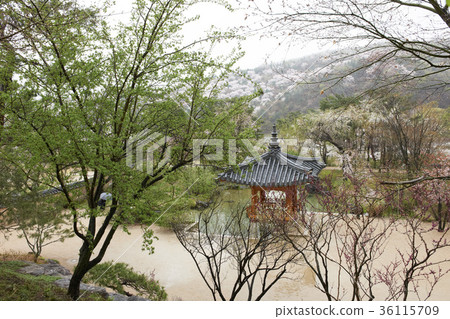 Hoam Art Museum, Yongin City, Gyeonggi-do 36115709