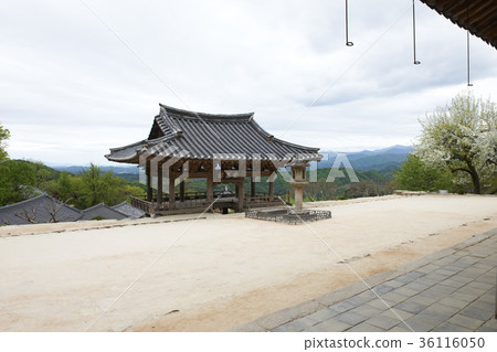 Buseok, Youngju, Gyeongbuk 36116050