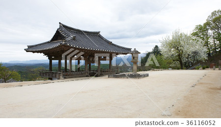 Buseok, Youngju, Gyeongbuk 36116052