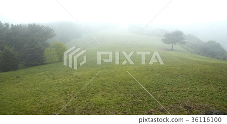 Sangumburi, Jeju City, Jeju Island Sangumburi, Jeju City, Jeju Island 36116100