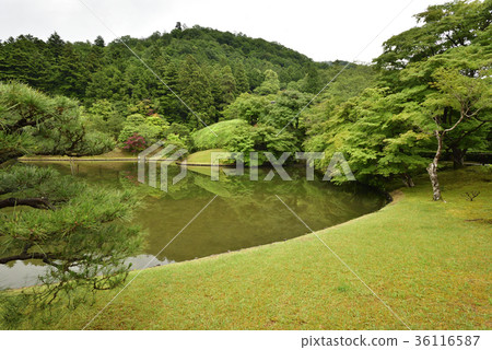 Shogakuin皇宮皇宮龍捲風池塘 Shogakuin皇宮皇宮龍捲風池塘 36116587