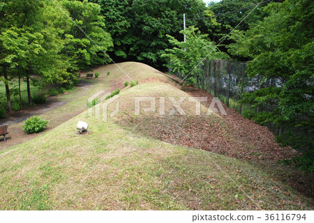 遺留在主殿遺址的寺廟 遺留在主殿遺址的寺廟 36116794