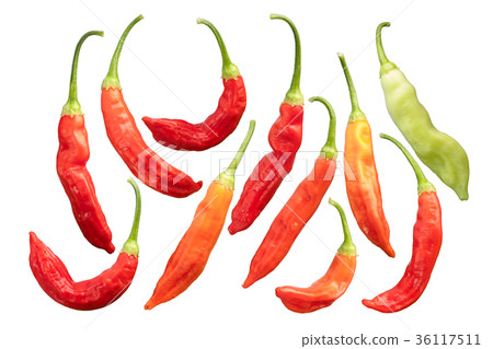 Aji Wundertute pepper C baccatum, paths 36117511