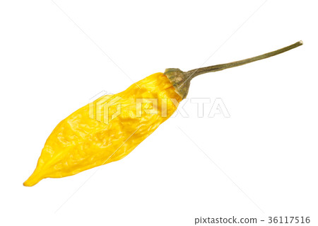 Dried Aji Limon pepper C. baccatum, top, paths Dried Aji Limon pepper C. baccatum, top, paths 36117516