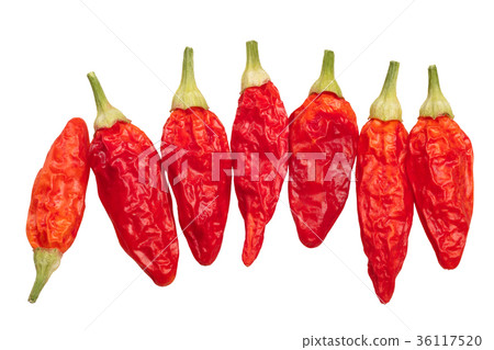 Dried Tabasco chiles C. frutescens, top, path Dried Tabasco chiles C. frutescens, top, path 36117520
