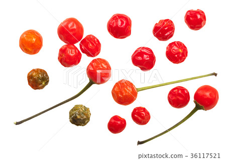 Dried Chiltepin peppers, top, paths 36117521