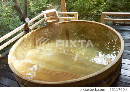 Hot spring trip 36117604