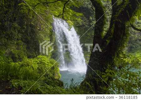 Waterfall of Charity 36118185
