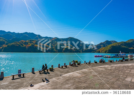 Lakeside scenery of Lake Sagami colored by autumn leaves (2017) 36118688