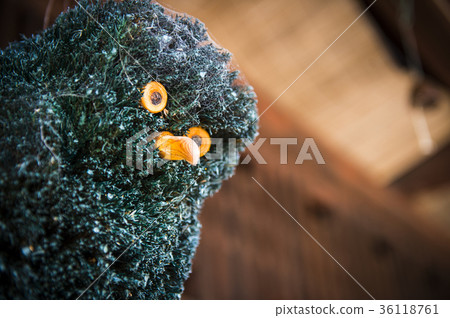 Owl figurine 36118761