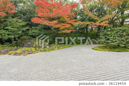 Autumn leaves of Yezudokuin 36119454