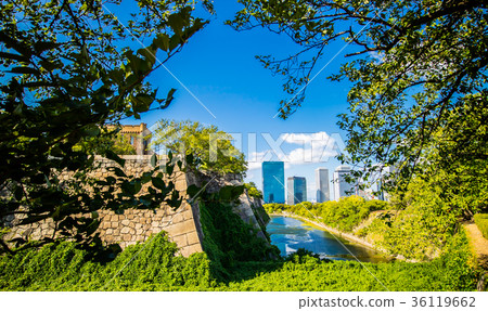 Asian Japanese architecture landscape 36119662