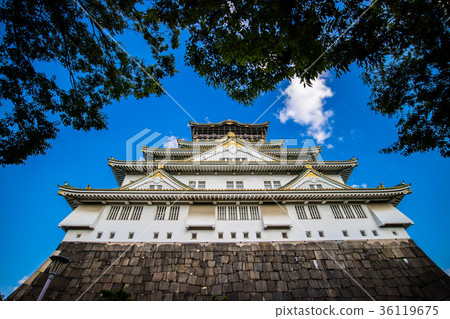 Asian Japanese architecture landscape 36119675