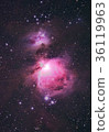 獵戶座大星雲 獵戶座大星雲 36119963